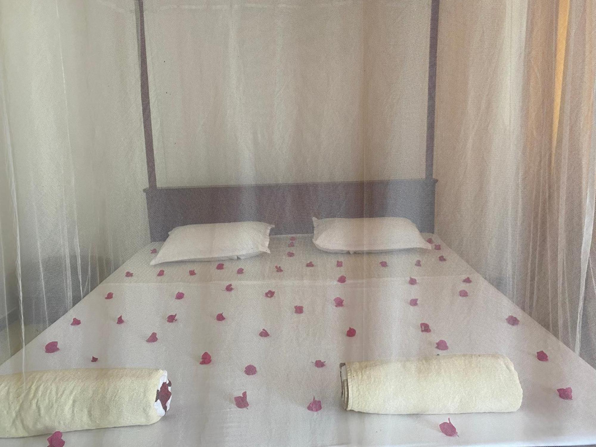 מטרה Talalla Ocean Beach Bungalow מראה חיצוני תמונה