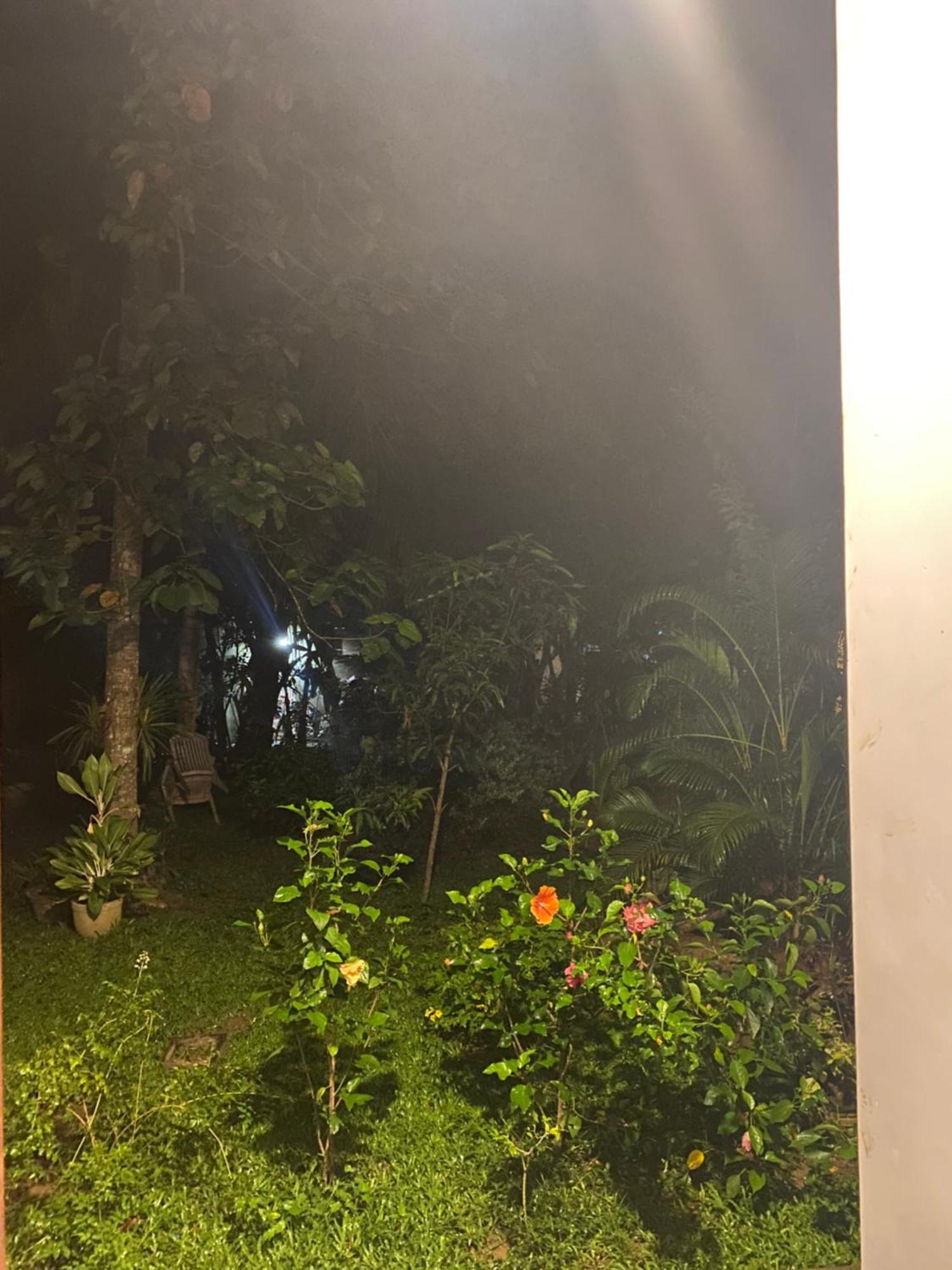 מטרה Talalla Ocean Beach Bungalow מראה חיצוני תמונה